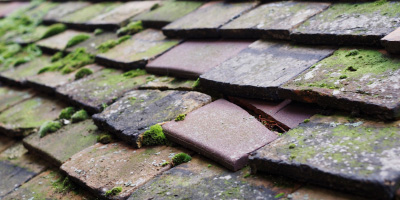 Tong roof repair costs
